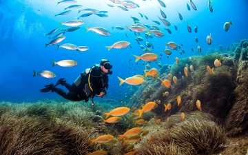 Diving in Sardinia