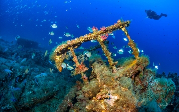Diving in Sardinia
